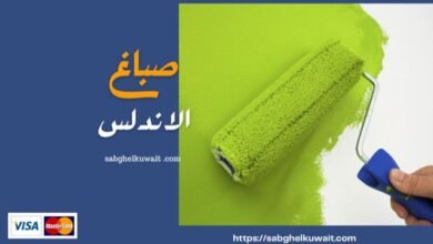 صباغ الاندلس