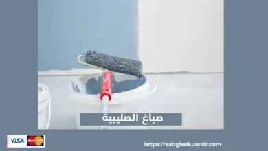 صباغ الصليبية